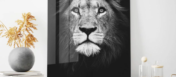 mp-lion